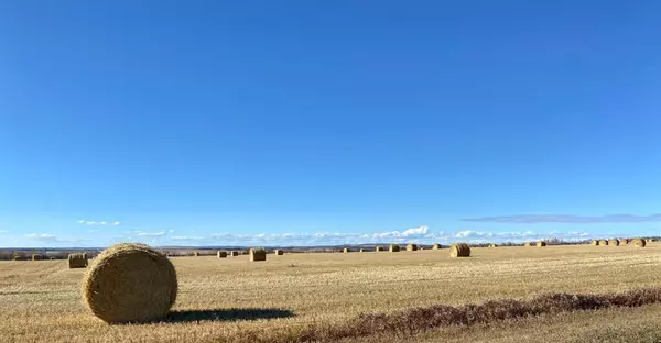 Rural Ponoka County, AB T0C2J0,On Range Road 21