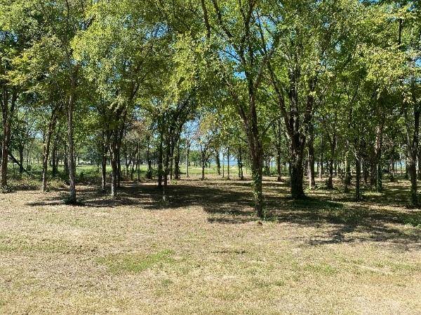 Lot 13 Calmwater Court, Mabank, TX 75143