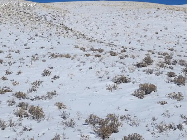 Hartsel, CO 80449,Santee TRL