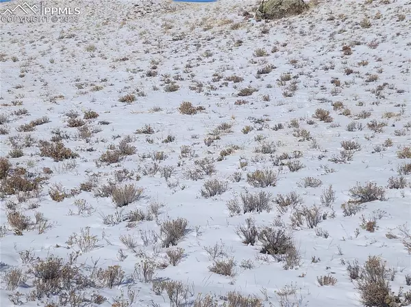 Hartsel, CO 80449,Santee TRL