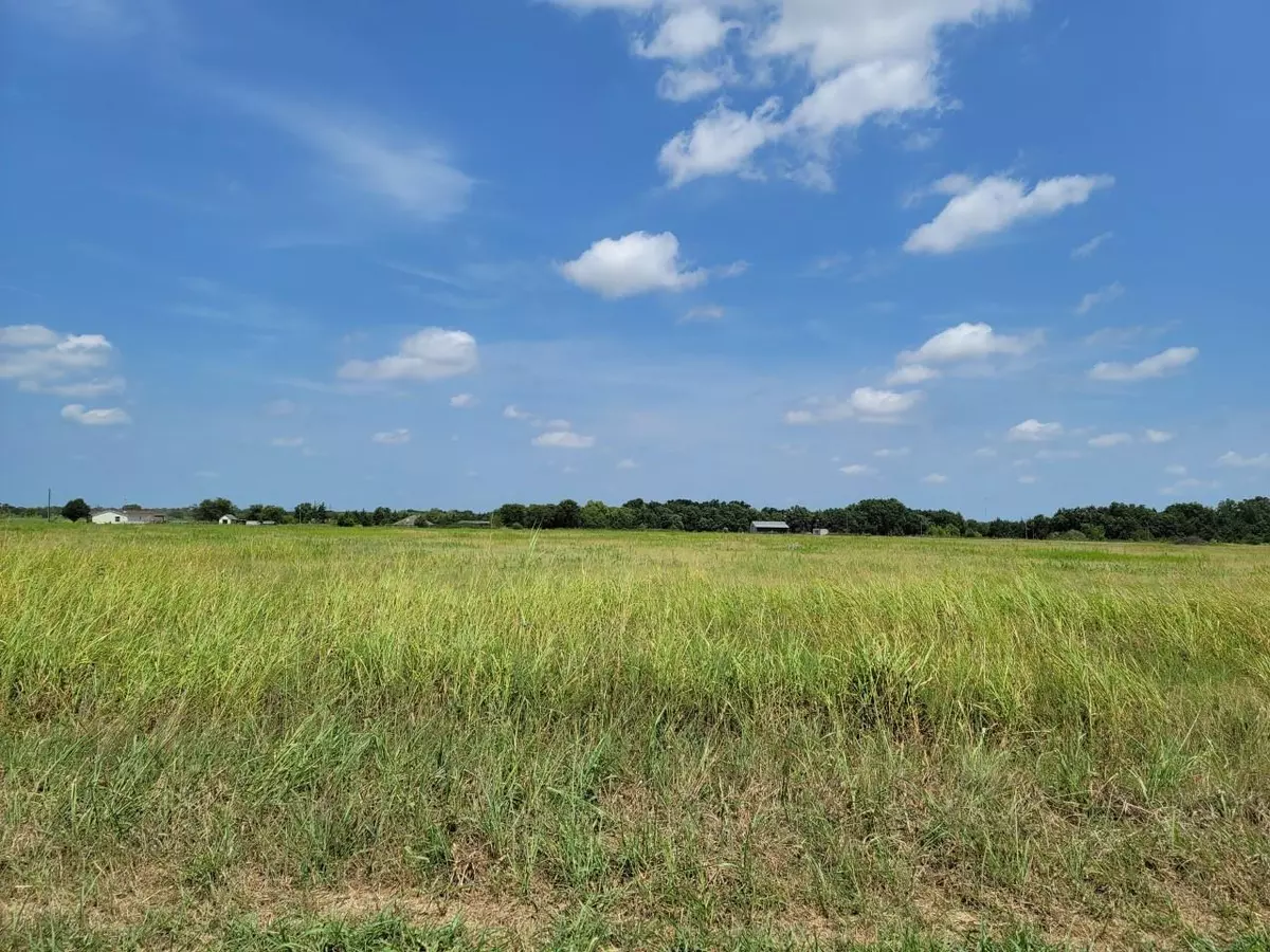 Savoy, TX 75479,LOT 5 County Rd 1245