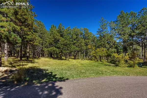 19420 Glencannon WAY, Monument, CO 80132