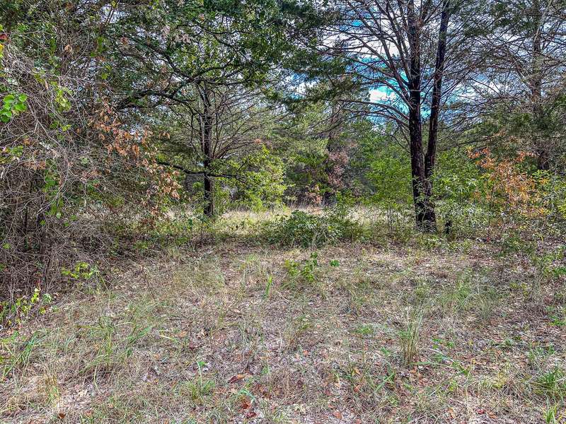 Lot 227 NW County Road 3130, Purdon, TX 76679