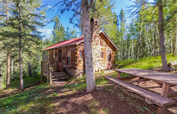 112 USFS 383 RD, Divide, CO 80814