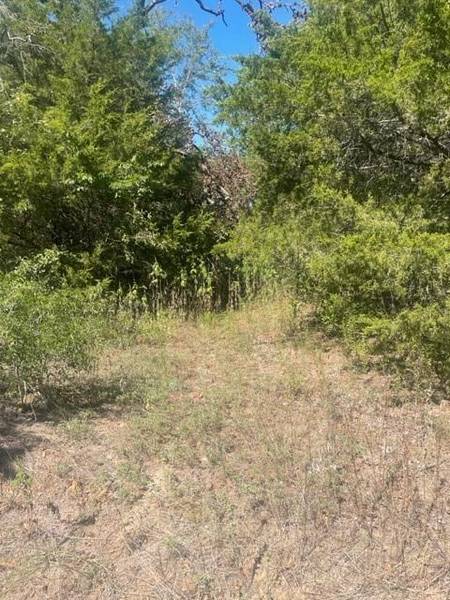 TBD Shenandoah Drive, Seven Points, TX 75143