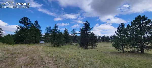 Guffey, CO 80820,232 Coyote LN