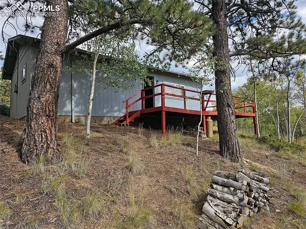 1107 E Bison Creek TRL, Divide, CO 80814