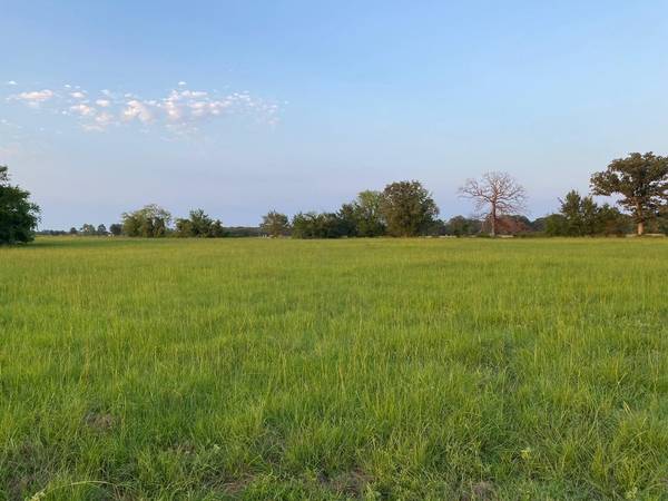 TBD Lot 2 County Road 1813, Yantis, TX 75497