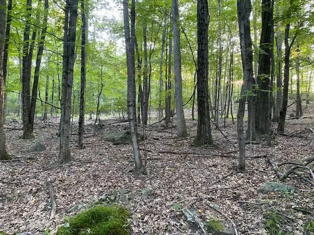 Pocono Twp, PA 18332,Lot 34 & 35 Sunrise Ln