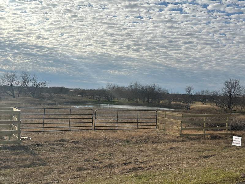 TBD FM 1951 #1, Coolidge, TX 76635