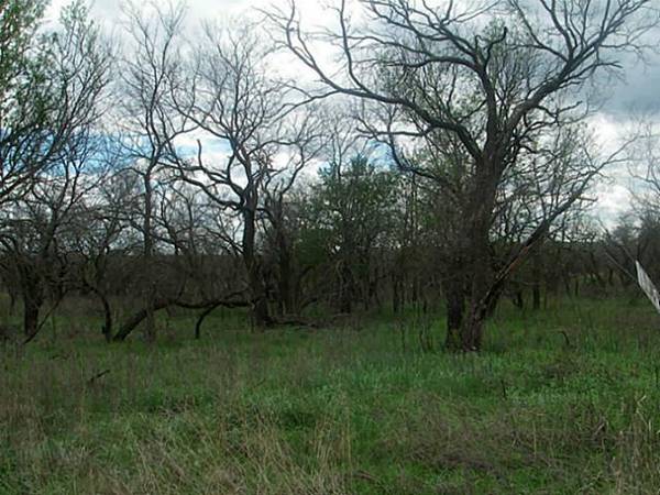 Lot 7 Sleepy Meadow Drive, Runaway Bay, TX 76426