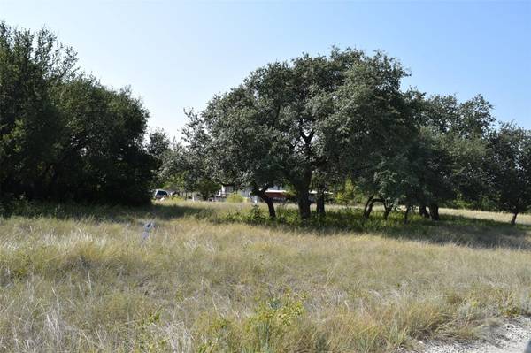 Lot 4 Baylie Drive, Lake Brownwood, TX 76801