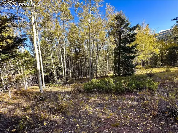 Cripple Creek, CO 80813,1386 Monarch DR