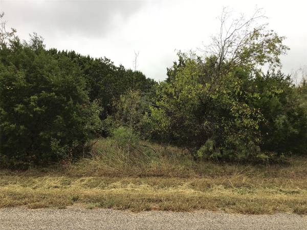 12110 Oak Dale Drive, Whitney, TX 76692