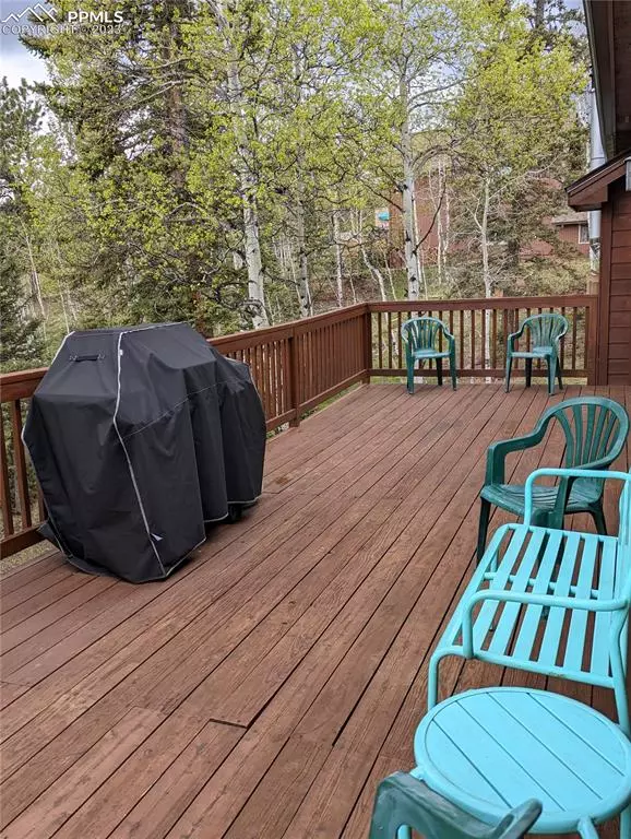 Divide, CO 80814,238 Aspen CIR