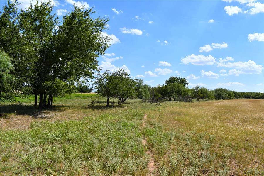 Lot 8 FM 3329, Olney, TX 76374