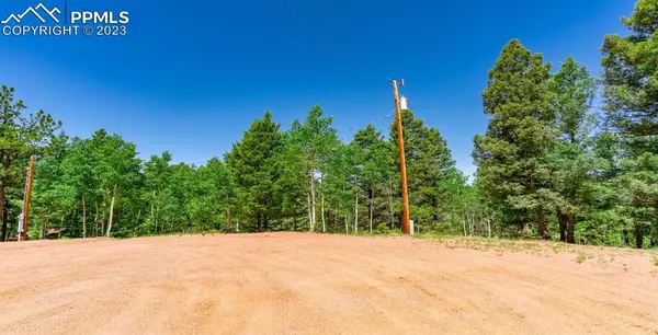 55 Summit CIR, Cripple Creek, CO 80813