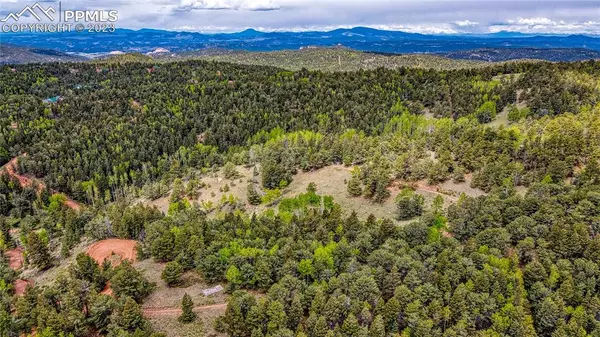 Divide, CO 80814,623 Rocky Mountain VW