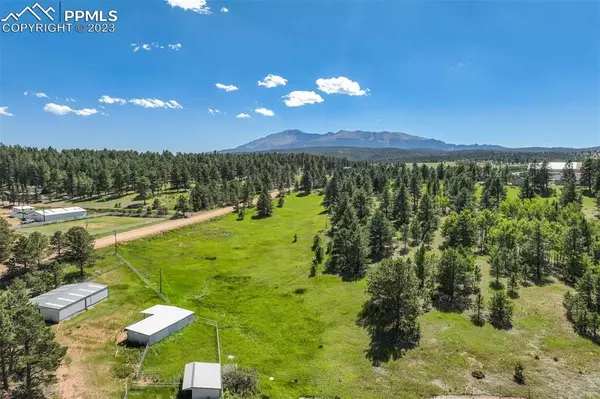 Woodland Park, CO 80863,231 S Forty RD