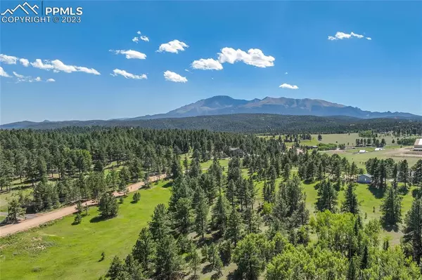 Woodland Park, CO 80863,231 S Forty RD