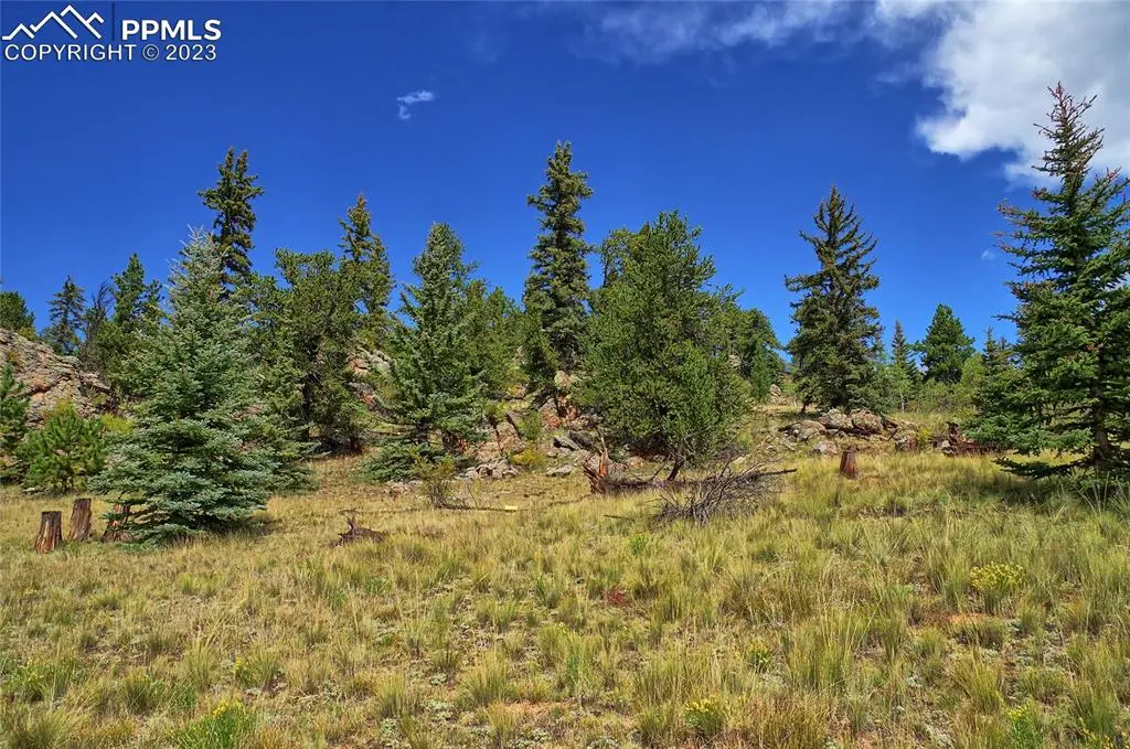 Jefferson, CO 80456,900 Palomino RD