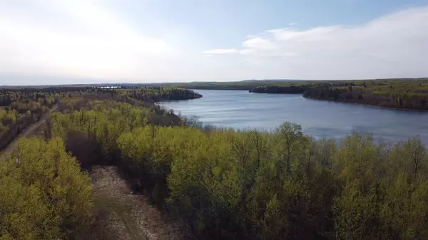 Rural, SK S0M 1L0,Lot 4 Murphy Lake, RM of Loon Lake