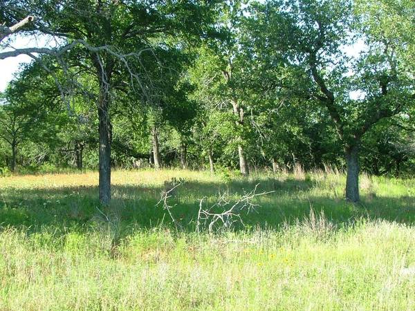 Lot 141 Cote D Azur Drive, Chico, TX 76431