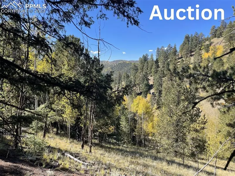 1520&156 Pikes Peak DR, Divide, CO 80814