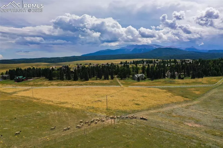 195 Joshua RD, Divide, CO 80814