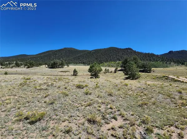 2585 Garfield RD, Hartsel, CO 80449