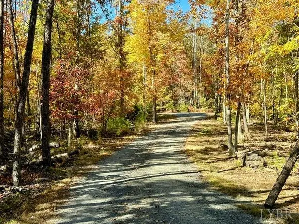 Amherst, VA 24521,1953 Christian Mill Creek RD