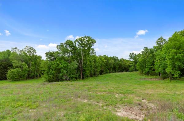 133 Pringle Court, Alvord, TX 76225