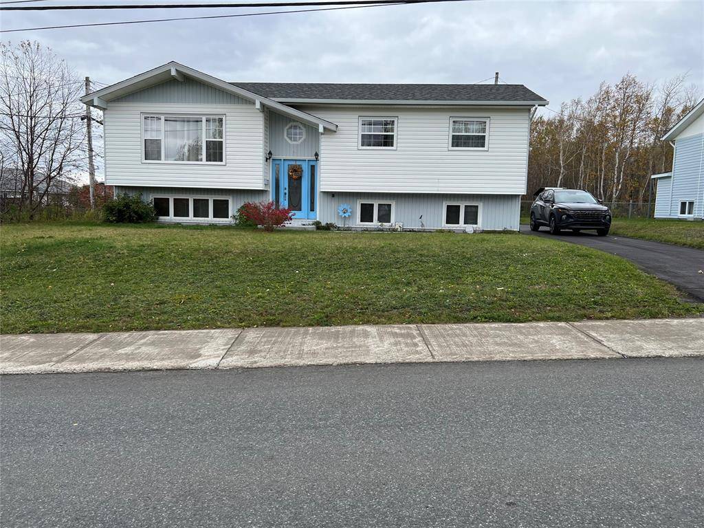 91 King Street, Grand Falls-windsor, NL A2B 1H2