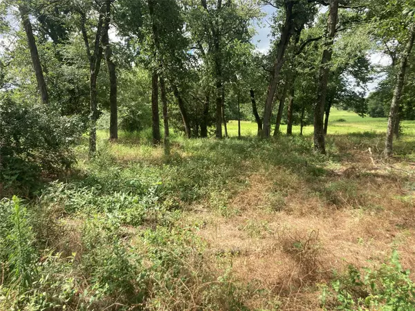 Cross Roads, TX 75751,0000 PVT RD 5209