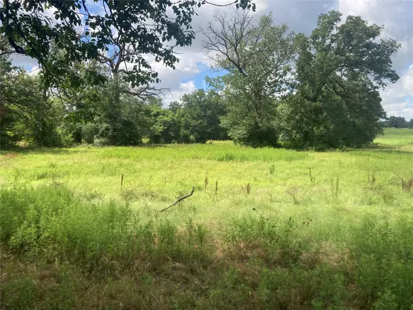 Cross Roads, TX 75751,0000 PVT RD 5209