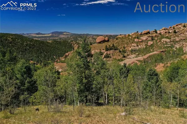 565 Buckhorn RD, Cripple Creek, CO 80813