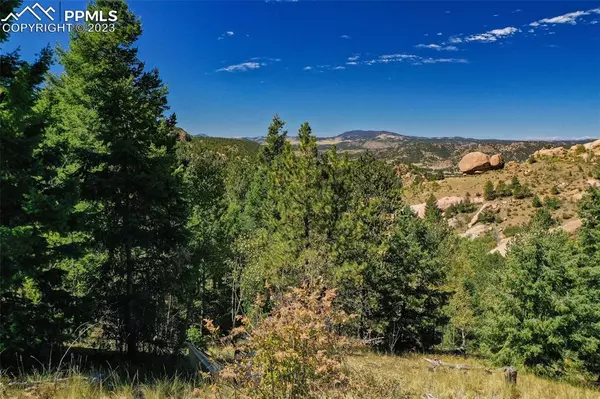 Cripple Creek, CO 80813,565 Buckhorn RD