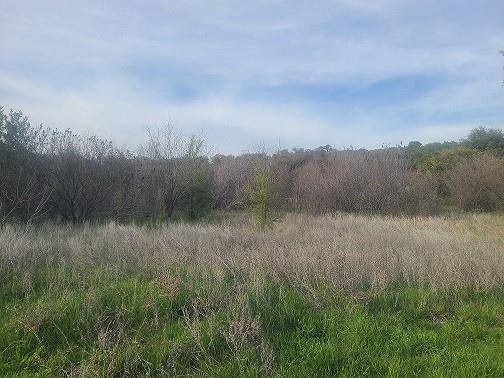 Graford, TX 76449,Lot 240 Evening Primrose