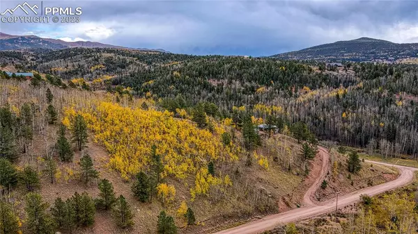 Cripple Creek, CO 80813,77 Granite LN