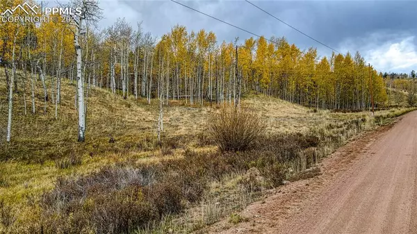 Cripple Creek, CO 80813,77 Granite LN