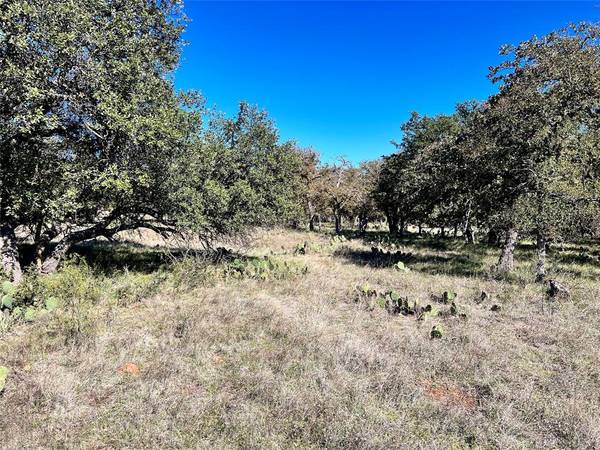 TBD Lot 1650 Lake Bluff Drive, May, TX 76857