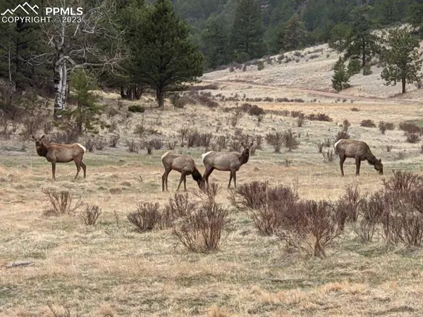 Guffey, CO 80820,000 Twinkle RD