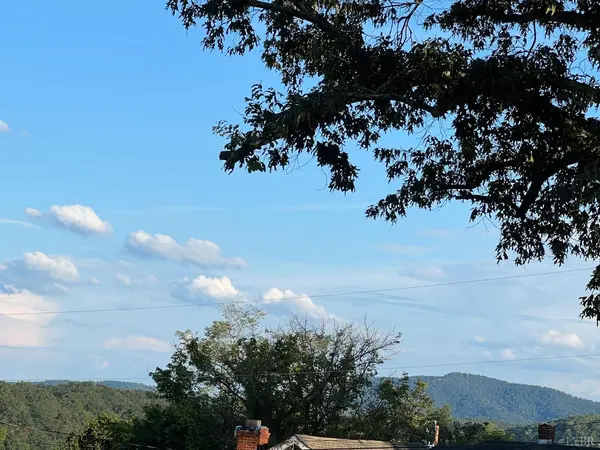 Big Island, VA 24526,1177 Sunset Hill RD