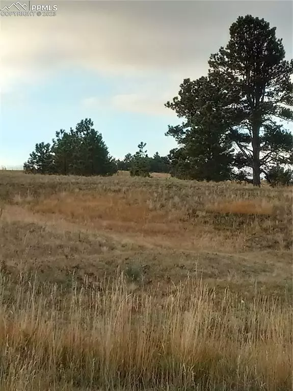 Colorado Springs, CO 80908,4643 Settlers Ranch RD