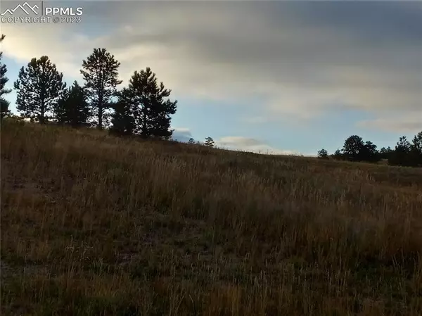 Colorado Springs, CO 80908,4643 Settlers Ranch RD