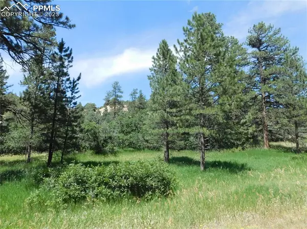 Larkspur, CO 80118,4815 Mohawk DR