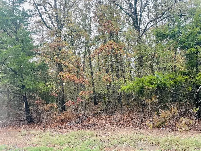 0 Quail Trail #Lot 33, Stonewall, LA 71078