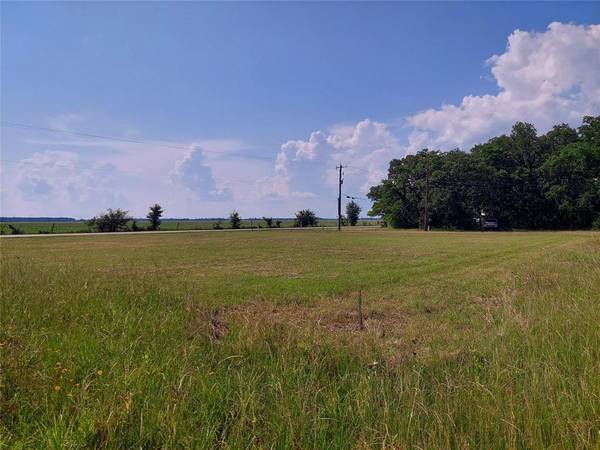 Lot 3 Shadywood Road, Trinidad, TX 75163