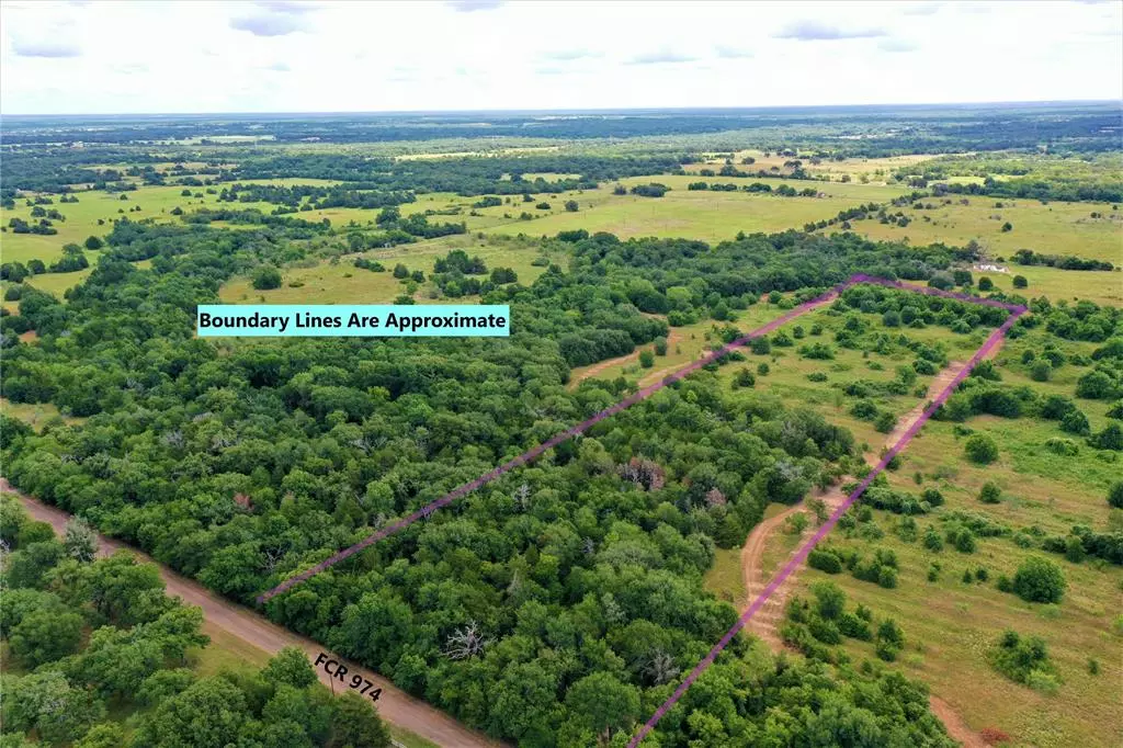 Wortham, TX 76693,0000 FCR 974