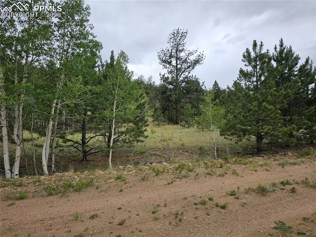 Hartsel, CO 80449,Huerfano DR